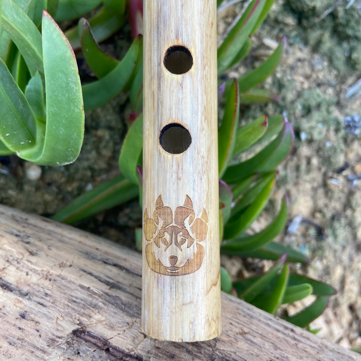 Flöte der amerikanischen Ureinwohner in Provence Cane – gestimmt in D (D) bei 432 Hz