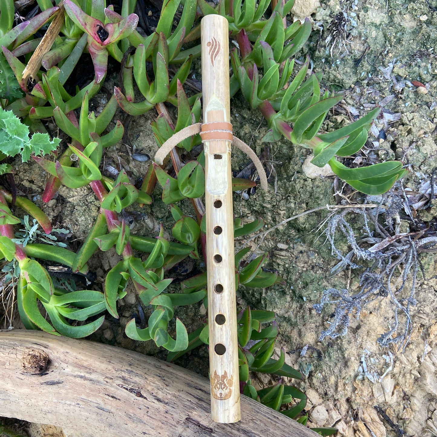 Flöte der amerikanischen Ureinwohner in Provence Cane – gestimmt in D (D) bei 432 Hz