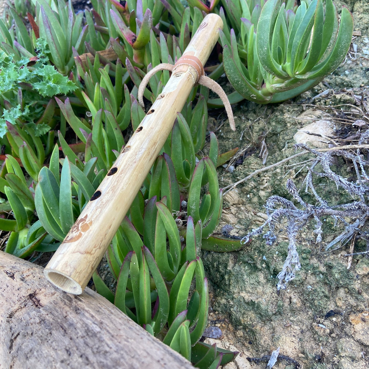 Flöte der amerikanischen Ureinwohner in Provence Cane – gestimmt in D (D) bei 432 Hz