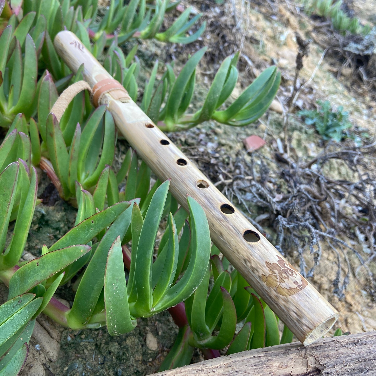 Flöte der amerikanischen Ureinwohner in Provence Cane – gestimmt in D (D) bei 432 Hz