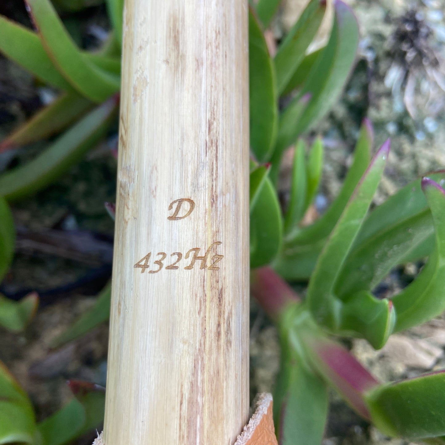 Flöte der amerikanischen Ureinwohner in Provence Cane – gestimmt in D (D) bei 432 Hz