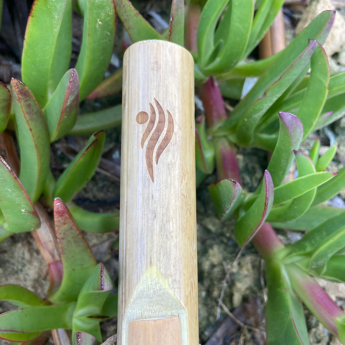 Flöte der amerikanischen Ureinwohner in Provence Cane – gestimmt in D (D) bei 432 Hz