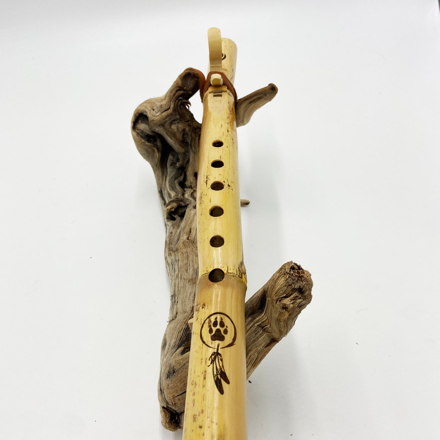 Flûte Amérindienne en Canne de Provence – La# (A#) 432Hz – Gravure Attrape-Rêve Patte