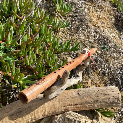 Flûte Native Amérindienne Fa (F) 423hz - Bois exotique, Chêne, Olivier