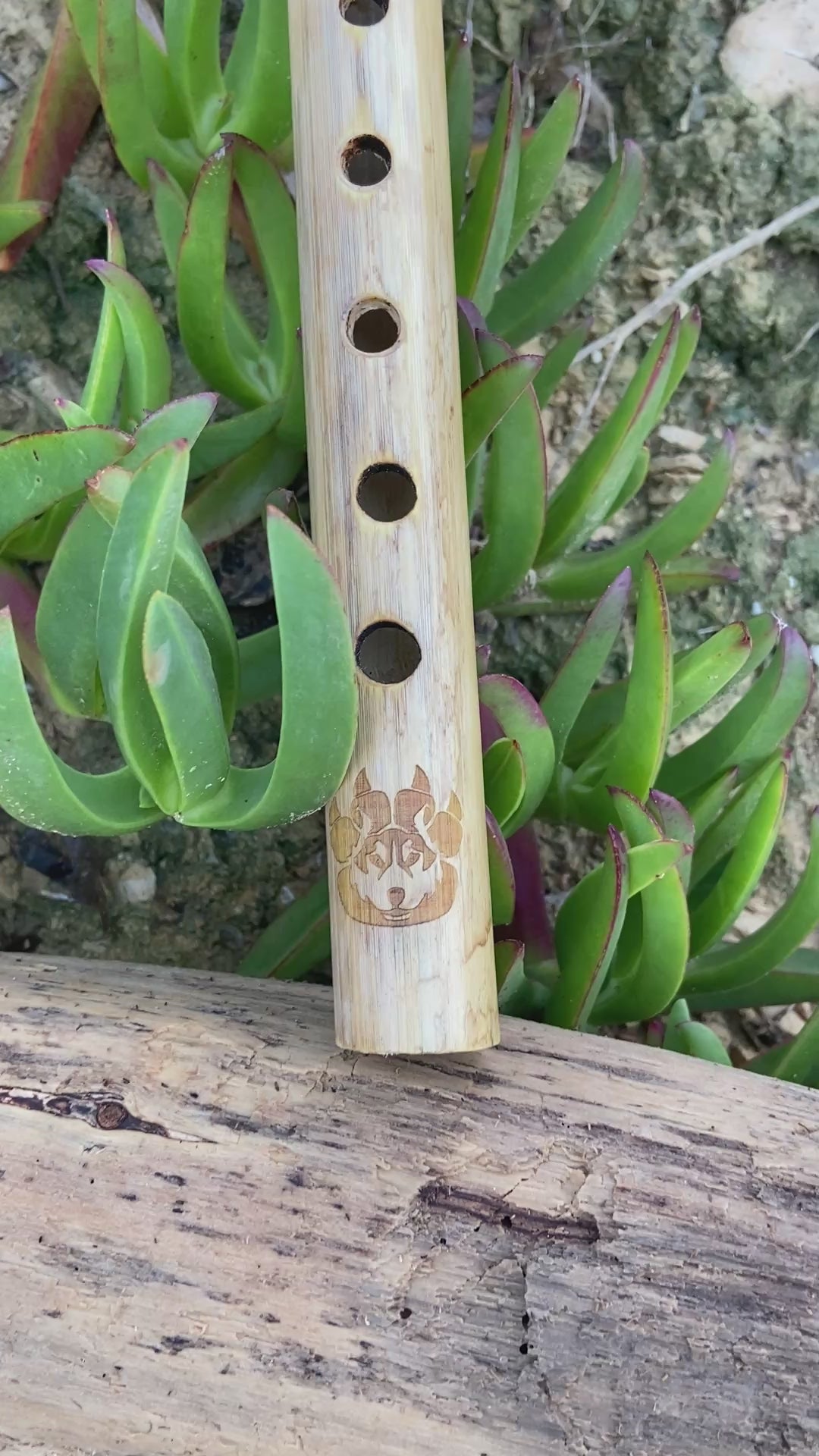 Flöte der amerikanischen Ureinwohner in Provence Cane – gestimmt in D (D) bei 432 Hz